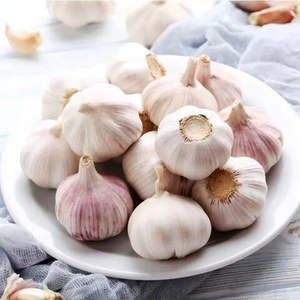 Ajo Blanco y Rojo Fresco de Alta Nutrición de Nueva Cosecha en Bolsa de Malla de 10 kg por BODEX - Product Image 6