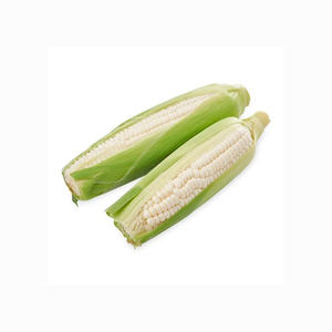 Maíz de maíz blanco seco para consumo humano No OGM W maíz blanco Precio barato - Product Image 1