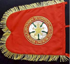 Bandera bordada a mano de alambre de oro táctico, pancarta colgante con flecos, bandera de playa de plumas publicitarias, pancarta de tela de seda OEM - Product Image 6