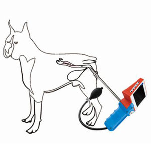 Con chó di động hình ảnh thụ tinh Súng thú y thiết bị nhân tạo thụ tinh Kit tinh dịch thiết bị video thụ tinh súng - Product Image 6