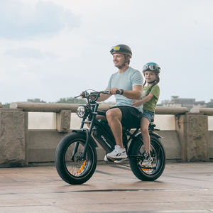 ड्रॉप शिपिंग हैप्पीरन टैंक G70 हमें गोदाम 2000 डब्ल्यू बैटरी के लिए डबल बैटरी फास्ट इलेक्ट्रिक कार्गो बाइक - Product Image 5