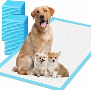 Tapis d'entraînement pour chiots personnalisés à 5 couches, haute absorption et anti-fuites, pour l'urine des chiens - Product Image 1