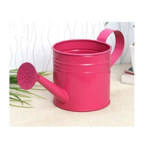 Fabrication en vrac Prix direct d'usine Arrosoir en métal Fait à la main Arrosoir en métal Produit le plus vendu - Product Image 1