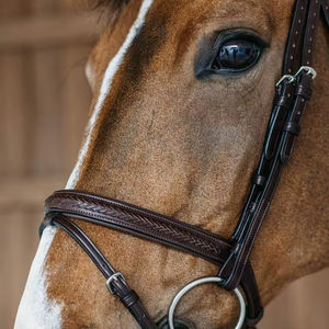 Brida de caballo de cuero personalizado Estilos ingleses occidentales personalizados Brida de equitación de cuero genuino Proveedor al por mayor tendencia 2025 - Product Image 1