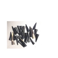 Pointes de corne de buffle de différentes tailles et rouleau de corne de buffle artisanal naturel pour manche de couteau et tampon pour meilleure vente