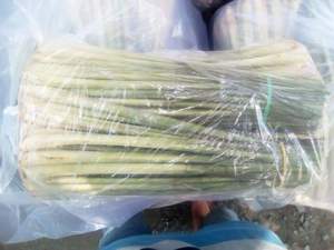 LEMONGRASS Séchées et Fraîches Top Produits de l'Agriculture pour les Épices Best Seller du Vietnam - Product Image 5