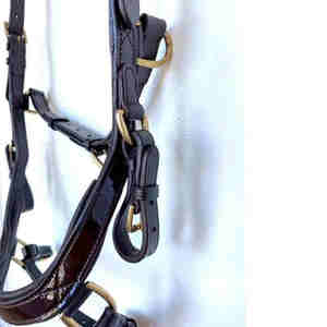 Bridon et Licol en Cuir Équestre de Haute Qualité pour l'Extérieur, Personnalisation Acceptée, SURGIGYNE International VI-HB - Product Image 3