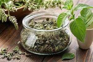 PURE NATURAL <b>DRIED</b> MINT LEAVES WHOLE HERBAL PRODUCT FOR HEALTHY LIFESTYLE CLEAN LABEL <b>PLANT</b> BASED NUTRITION - Product Image 3