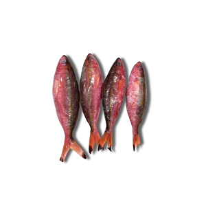 Poisson Fusilier Rouge Entier Congelé IQF de Haute Qualité 100-300g, Emballage en Vrac, Durée de Conservation 24 Mois, Fournisseur Vietnamien - Product Image 3