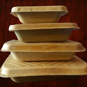 Recipiente de comida biodegradable Vajilla biodegradable Ecológico Areca Plato de hoja de palma Plato de fiesta hecho en INDIA - Product Image 1