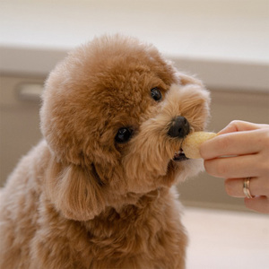 [Itchu] Itchu Soft 100g Lait Doux Chien Traiter Doux Gomme Dentaire pour Chiens Seniors Produit Chaud et Bonne Vente - Product Image 3