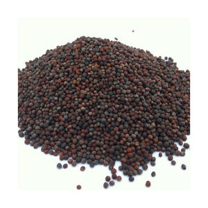 Entrega rápida de colza a granel para necesidades industriales y agrícolas - Product Image 5