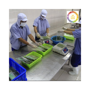 ใบมันสำปะหลังแช่แข็งจากเวียดนามใบมันสำปะหลังแช่แข็งราคาดีที่สุดสำหรับ2025ส่งออก - Product Image 5