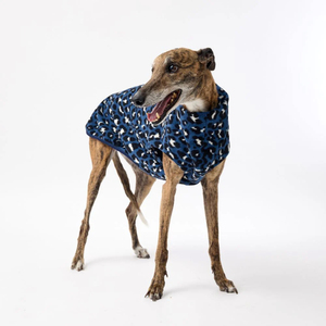 Manteaux d'hiver en polyester respirant de haute qualité pour chiens, coupe-vent, motif solide pour une utilisation en extérieur - Product Image 1