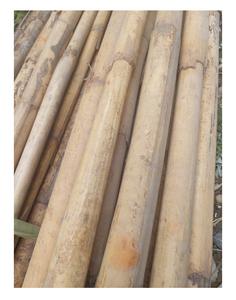 Estaca de Ratán Natural de la Mejor Calidad, Precio de Fábrica, Poste Redondo Hecho con Materias Primas Vietnamitas - Product Image 2
