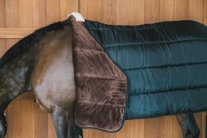 Couverture pour cheval de haute qualité respirante au design personnalisé à bas prix, couverture pour cheval d'hiver imperméable 100% polyester - Product Image 5