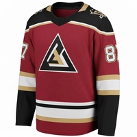 Jersey de Hockey sobre Hielo Sublimado Personalizado 2026, Nombre del Equipo, Número, Secado Rápido, 100% Poliéster, Transpirable, Ecológico, Cómodo, OEM