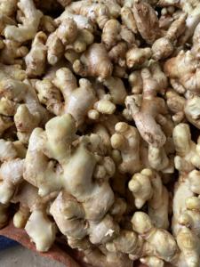 Caja de jengibre fresco 10kg Jengibre fresco terroso y aromático - Product Image 4