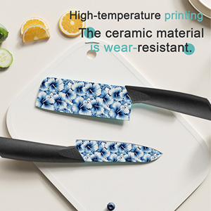 Juego de 6 Cuchillos de Cocina de Cerámica 2026 Más Vendidos para Uso Doméstico, Mango de Plástico, en Existencia, Envío Gratis - Product Image 4