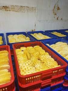 Ananas Tibit Ball Biologiques Surgelés IQF de Haute Qualité, Brix 10%, Douceur Naturelle, Emballés Sous Vide, 10kg - Product Image 6