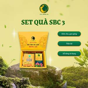 SBC Hoang Gia Premium Set de Regalo para la Salud, Té de Flores de Ginseng 3-Bo Chinh para el Bienestar - Product Image 3