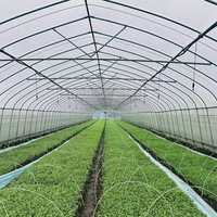 Une serre agricole de grande taille à tunnel élevé à prix coûté d'usine pour la culture de tomates