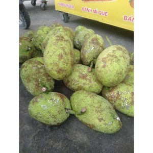 Soursop naturel congelé avec saveur aromatique et texture lisse adapté aux mélanges de boissons et aux recettes de desserts glacés - Product Image 3