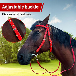 Customization Logo Low Price Horse Riding Bridles Solid Material <b>Top</b> Selling Horse Riding Bridles - Product Image 3