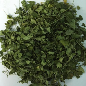 FEUILLES DE MORINGA SÉCHÉES PREMIUM ÉTIQUETTE NATURELLE CLEAN EXPORT - Product Image 2