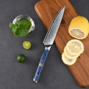 Vente en gros personnalisé Oem 2025 nouveau style VG10 bleu damas couteau utilitaire polyvalent extérieur pour cuisine maison pour chef - Product Image 3