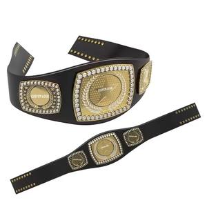 2025 dernière arrivée ceinture de lutte en cuir véritable léger avec plaques de métal en laiton ceintures de sport à pression rapide pour les Arts martiaux - Product Image 6