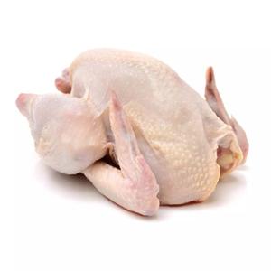 Halal Frozen poitrine de poulet et poulet glacé entier emballage de Style boîte caractéristique étagère de poids origine brésil - Product Image 2