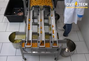 Rompehuevos OVO-TECH RX-4 con Alimentador de Correa Autoajustable, Capacidad de 26000 Huevos/Hora, Equipo de Cocina Comercial para Plantas de Producción - Product Image 5