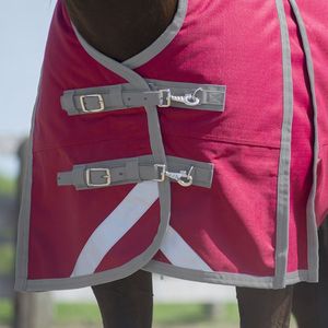 Indian Horsewear <span class=keywords><strong>Habanera</strong></span> affluenza 300gm smart - Product Image 4