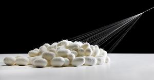 Manta de Lujo de Seda de Morera, Ultra Suave, Cálida, Ligera, Transpirable, Edredón, Ropa de Cama, Personalizable con Logotipo OEM ODM - Product Image 5