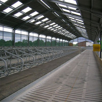 Structure en acier préfabriquée pour hangar à vaches laitières, panneaux sandwich en laine de roche de 50 mm, hangar pour bétail