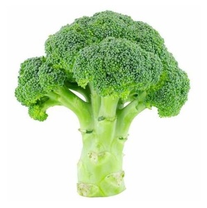 Exportation de légumes frais de la nouvelle saison : brocoli frais - Product Image 1