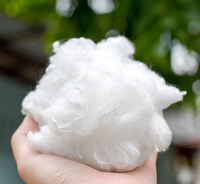 Fourni par la fabrication Silicium recyclé à résilience supérieure Fibre discontinue de polyester pour jouets de rembourrage d'oreiller Matériau de remplissage