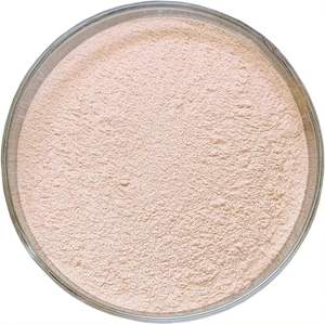 Proveedor de fabricante de proteasa ácida de la mejor calidad de Bangalore, Karnataka, India - Product Image 3