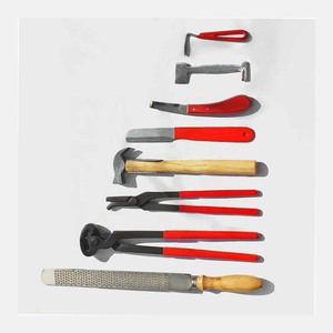 Kit de Herramientas de Herrador de Acero Inoxidable Duradero, Juego de 8 Instrumentos Veterinarios, Diseño Personalizado Disponible - Product Image 2