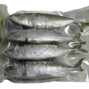 ปลาแมคเคอเรลอินเดียแช่แข็งคุณภาพส่งออก แบบทั้งตัว - Product Image 2