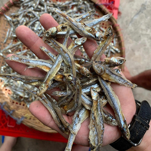 ANCHOIS SÉCHÉS DE QUALITÉ SUPÉRIEURE/APPROVISIONNEMENT EN GROS/PRINCIPALES VENTES FRUITS DE MER DE QUALITÉ D'EXPORTATION/PRODUIT D'AFFAIRE CHAUDE - Product Image 5