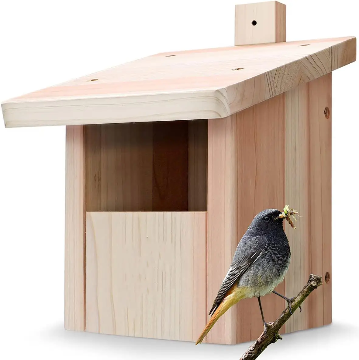 木の家防水小鳥の巣木製カスタム工芸品屋外設置