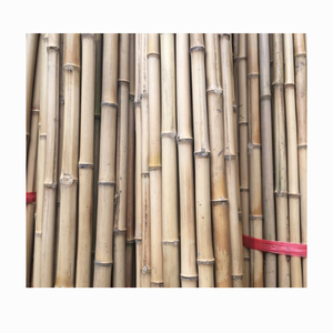 Estacas de caña de bambú de calidad de exportación para valla, Panel de jardín, respetuoso con el medio ambiente, fuerte, duradero, poste de bambú Natural a prueba de agua - Product Image 2