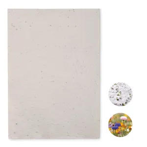 Papier de bureau semi-sustainable ASIDI A4 pour la merchandising - Product Image 5