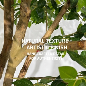 Cây ô liu nhân tạo bonsai trang trí trong nhà, cao 1,2m-4m, trồng chậu, kiểu dáng thân cây tự nhiên, xanh tươ<span class=keywords><strong>i</strong></span> - Product Image 3