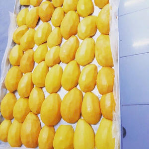 MANGUE SÉCHÉE DE MANGUE NATURELLE AU VIETNAM - Product Image 1