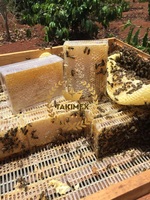 Gâteau en nid d'abeille frais délicieux 500g gâteau en nid d'abeille en gros 100% miel pur cru sans ingrédients de sucre directement du Vietnam