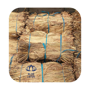 Matière première de fibre de jacinthe d'eau séchée pour diverses applications - Product Image 3