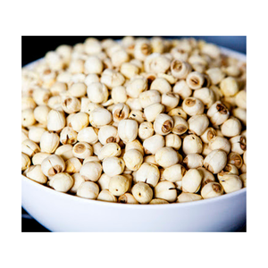 เมล็ดบัวขาวเกรดพรีเมียมจาก99 GD สำหรับอาหารตรงตามมาตรฐานการส่งออก - Product Image 4